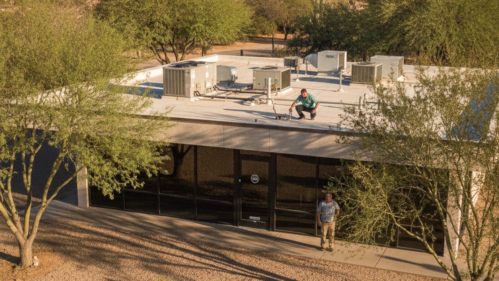 Pequeño centro comercial en Tucson con un frente de vidrio y unidades de HVAC en un techo plano bajo el sol del desierto